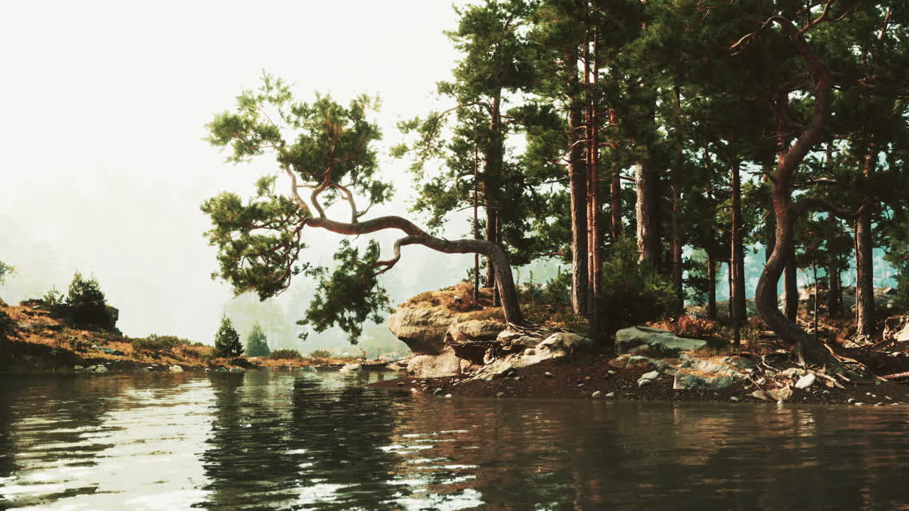 조용한 숲의 호수