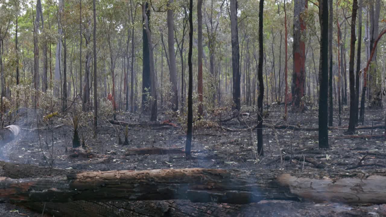 Bushfire in the Australian outback. Smoke and flames. Clip 15