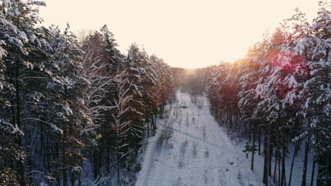 Vuelo-Aéreo-Del-Paisaje-Invernal-Nórdico-Sobre-El-Bosque-De-Montaña-Nevado-Al-Atardecer.