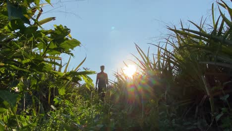 Dreamy-low-angle-shot-of-man-walking-towards-camera-on-bright-sunny-day