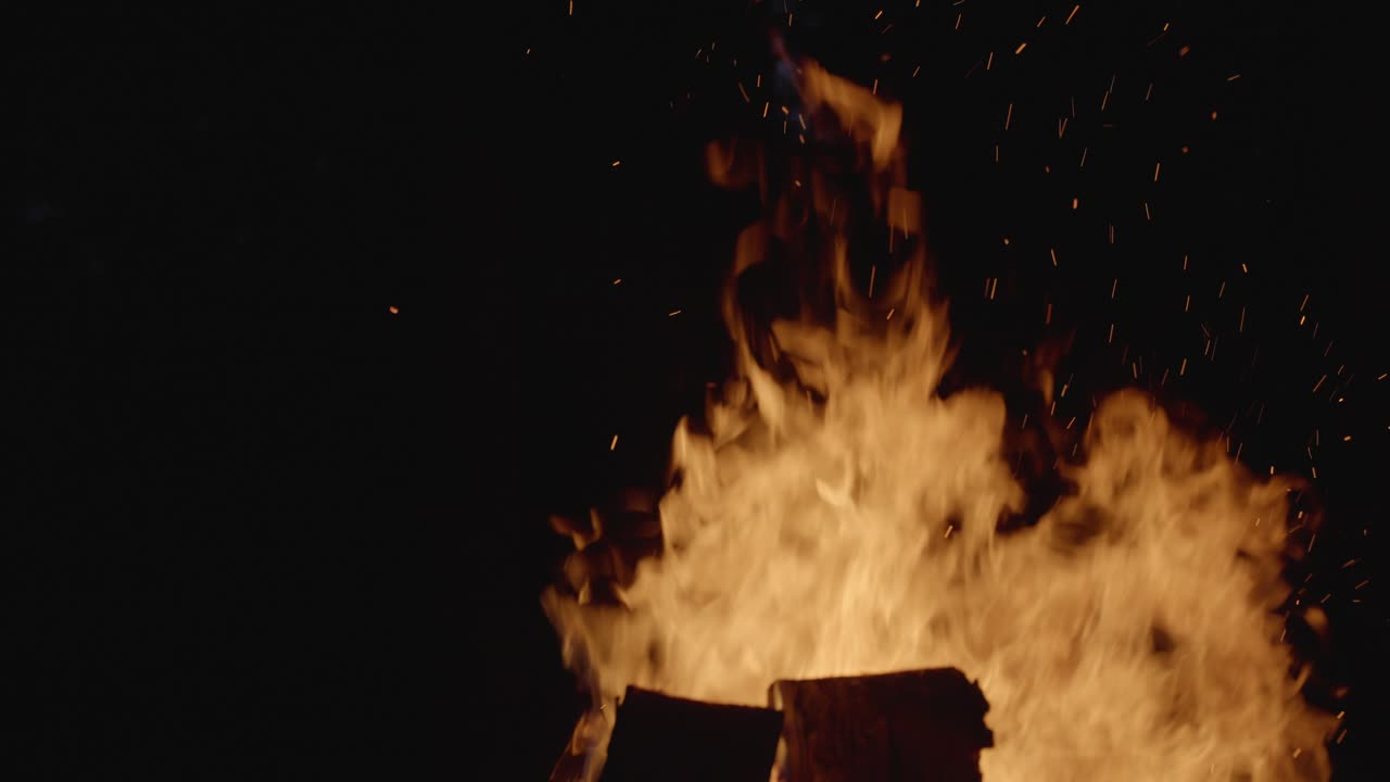 fogata en el bosque por la noche