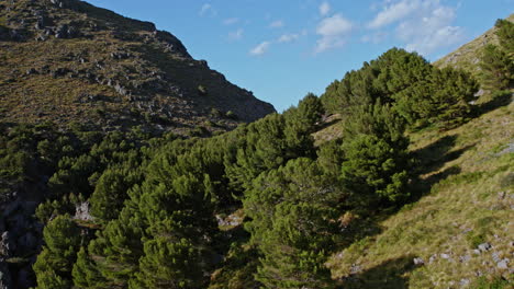 rocky mountain hikes at torrent de pareis in sa calobra beach in escorca, balearic islands, mallorca spain