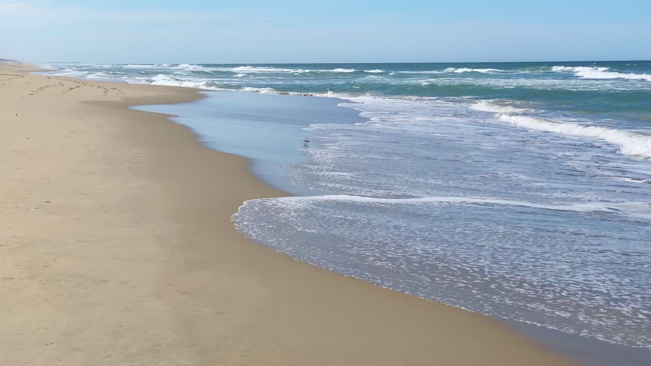 Belle journée ensoleillée sur une plage calme et immaculée avec un ciel bleu en Caroline du Nord, dans les Outer Banks à Nags Head, au début de l'été