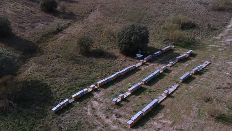 Shor-Aéreo-De-Tres-Filas-De-Colmenas-En-Un-Campo