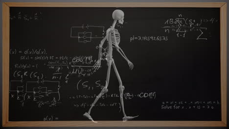 animation of mathematical equations over skeleton