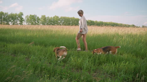 woman holding leashes of two dogs strolling in grassy field, one dog running forward in excitement while the other sniffs ground curiously, bright sunny day with beautiful green landscape