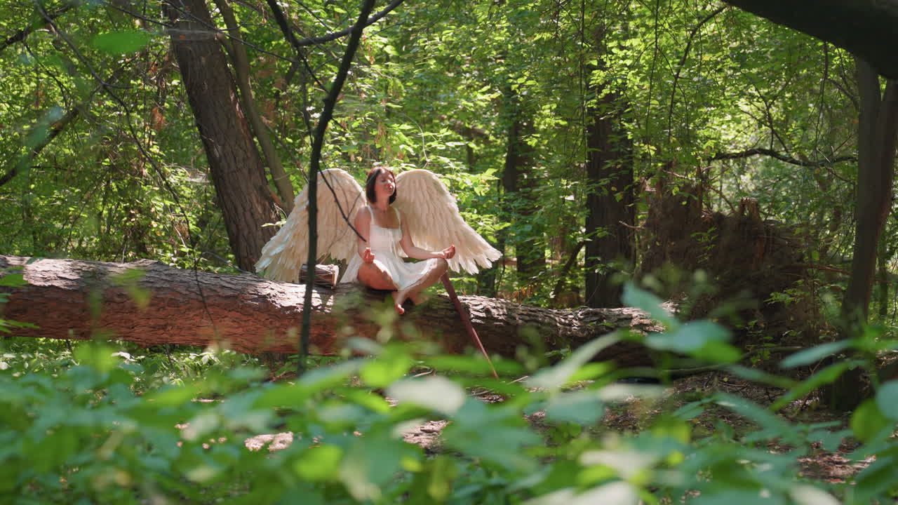 Fairy goddess with large angel wings sits cross legged on forest log in white dress meditating with hands gently touching, surrounded by dense green trees, sunrays casting soft light across