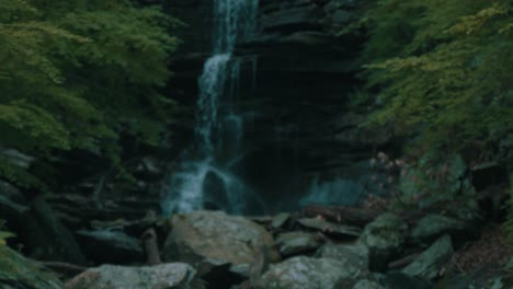 sand covered driftwood, pan up to reveal waterfall and stream with rocks and trees