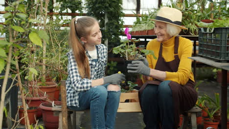 abuela y nieta haciendo jardinería juntas