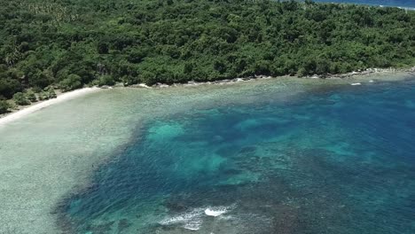 imágenes de drones sobre el agua azul del océano y el bosque verde en el interior