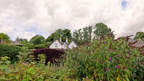 a house surrounded by lush garden plants