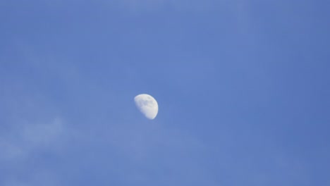 daytime moon with passing clouds slowly in tiemalapse shot