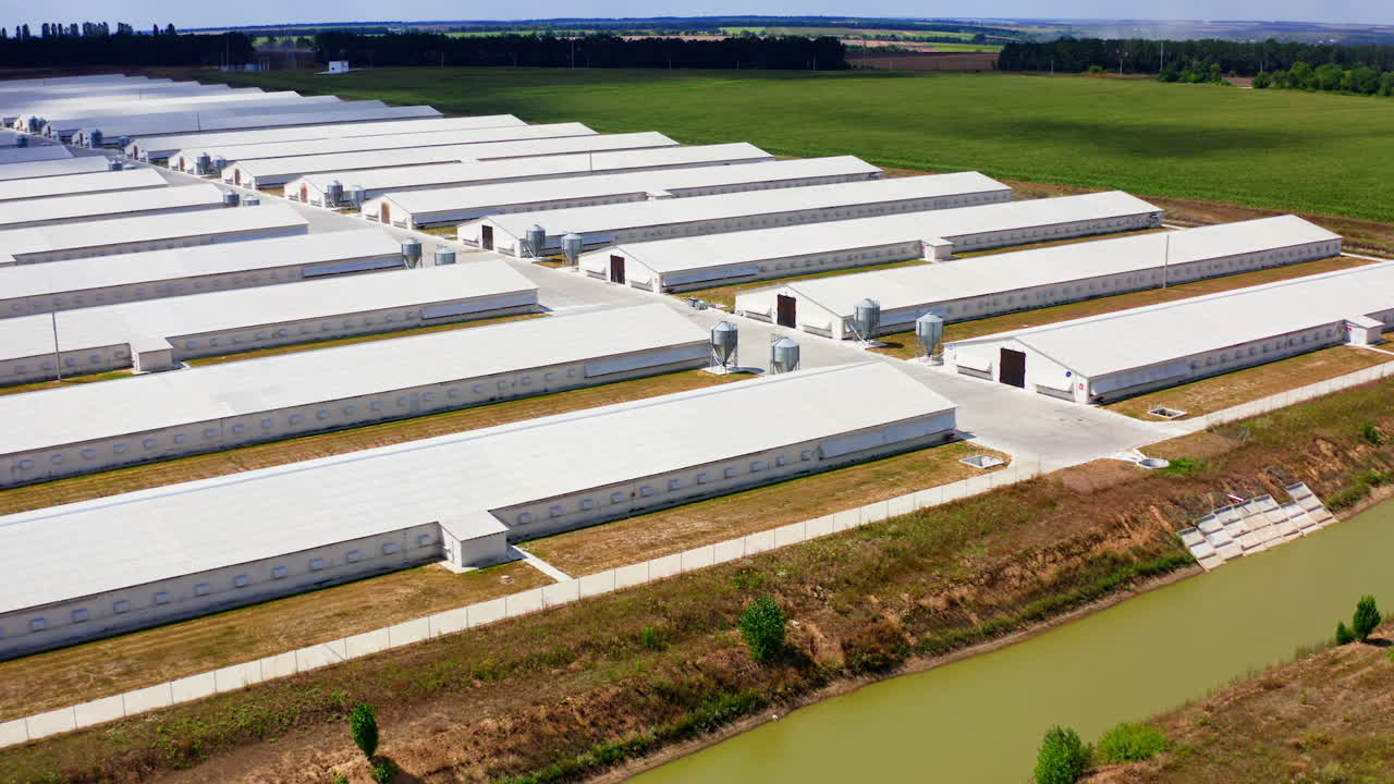 Modern white barns on field. Rows of farm houses in the rural place in summer. Camera moves forward. View from above.