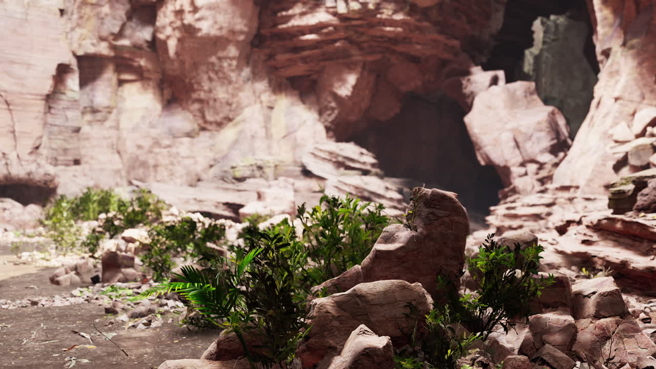 la vista dentro de la cueva de hadas con plantas