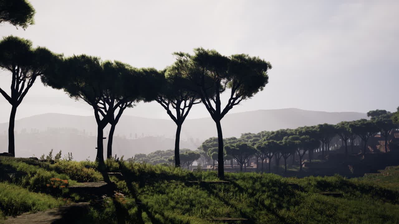 케냐 사바나 의 공중 촬영