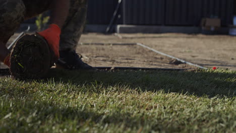 worker rolls out a rolled lawn. landscaping