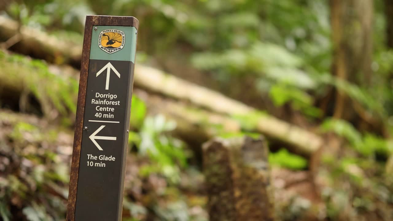 A signpost in a lush forest setting guides visitors through Dorrigo National Park, NSW, Australia