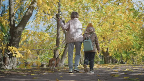 rear view of mum and child strolling through golden autumn forest path while playful dog runs ahead on loose leash past dry foliage, soft sunlight filtering through swaying trees