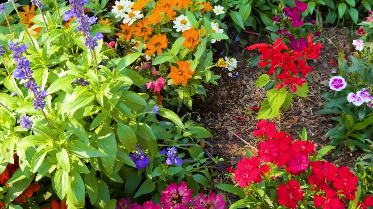 A vibrant display of orange, red, and purple flowers in a dense, green garden setting.