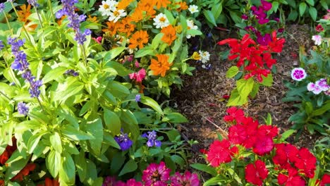 a vibrant display of orange, red, and purple flowers in a dense, green garden setting.