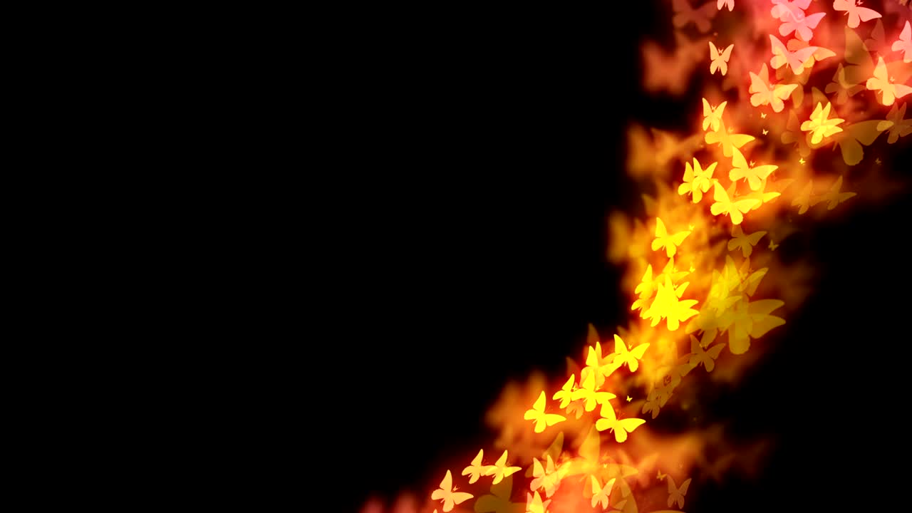 abstract bokeh luz chispas mariposa patrón de vuelo amarillo y rosa gradiente de color ilustración en fondo oscuro, animación de bucle sin costuras 4k con espacio de copia izquierdo