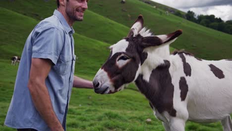 young farmer feeding a friendly spotted donkey in a peaceful green field, enjoying a heartwarming moment of connection with nature and farm animals