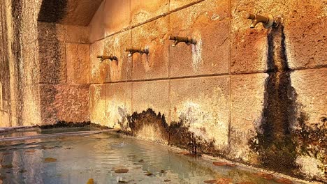 Ornamental-water-fountain-with-several-spouts-and-colored-leaves-floating-in-transparent-water