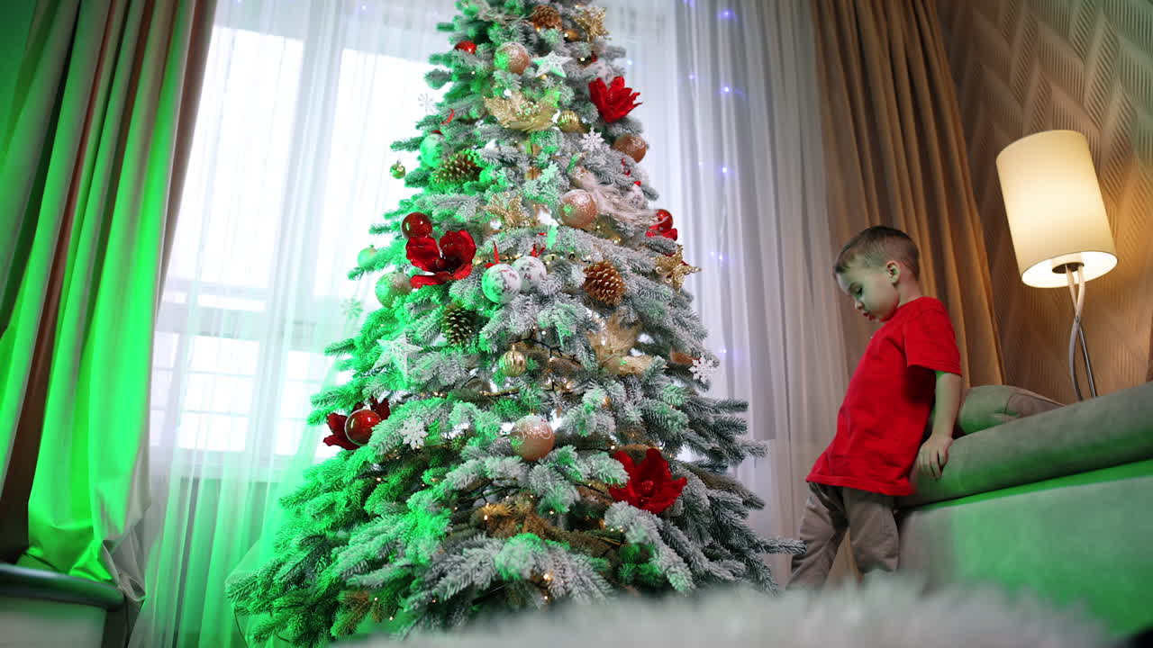 Cute boy in red t-shirt and beige pants stands near a beautiful Christmas tree. Kid touches the branches and decorations. Low angle view.