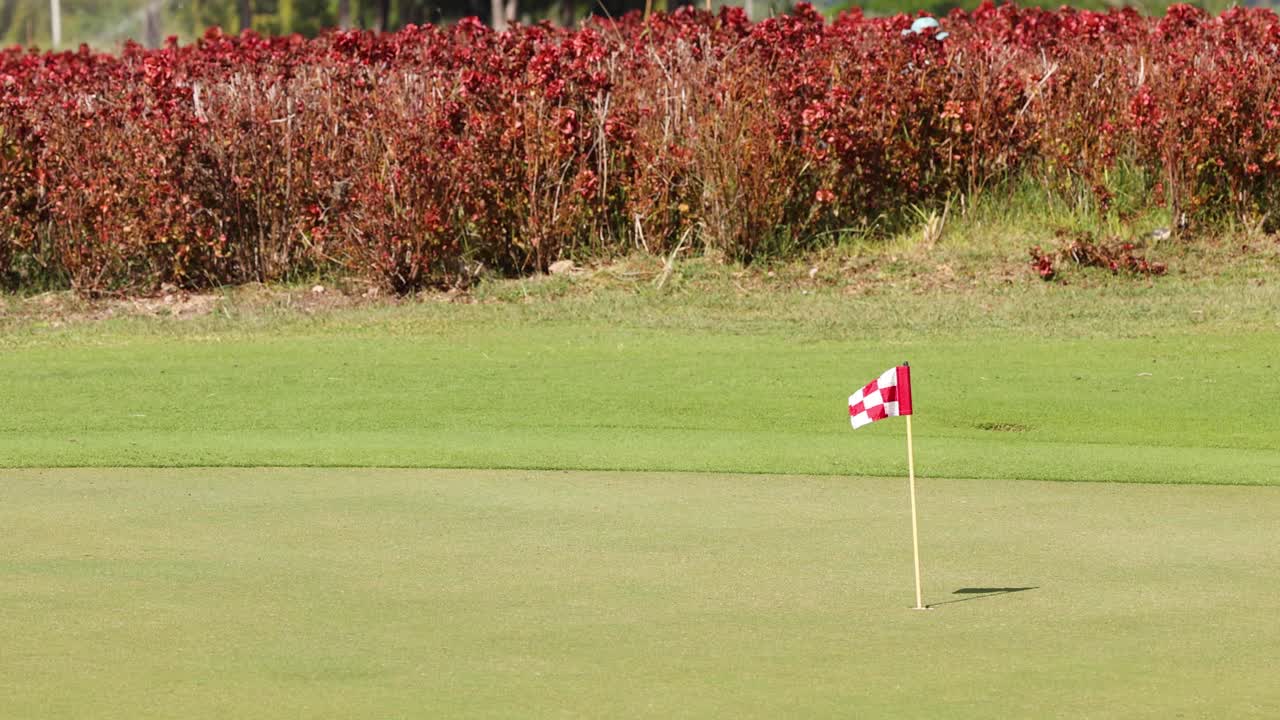 Golf ball approaches and enters the hole.