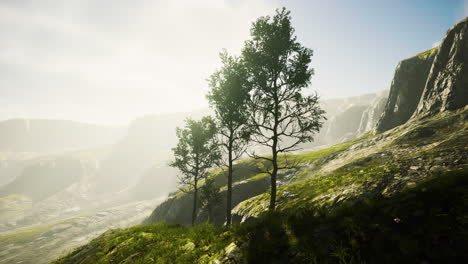 scenic landscape with steep cliffs and trees during a sunny day