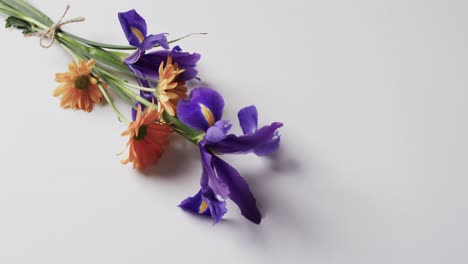 video de un ramo de flores amarillas y púrpuras y espacio de copia sobre fondo blanco