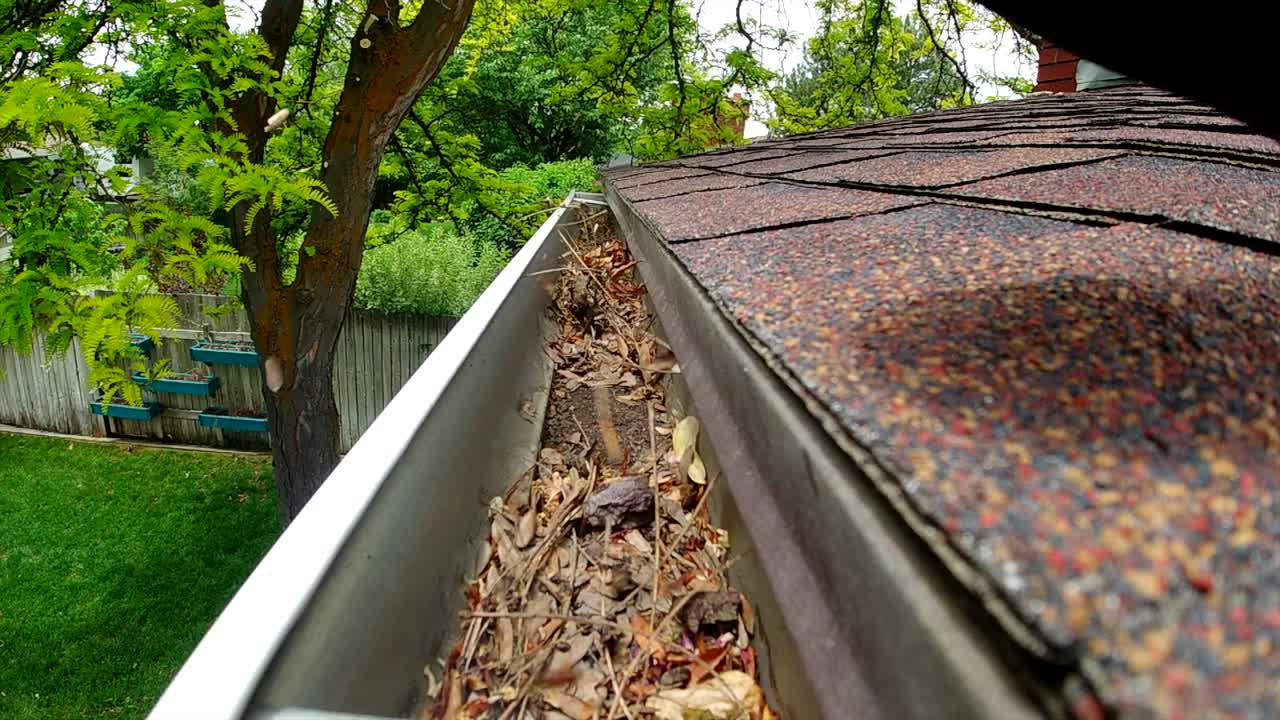 A leaf blower is seen blowing leaves and debris out of a rain gutter on a roof. A green yard with trees is seen in the background.