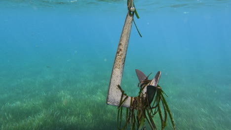 underwater anchor with seaweed