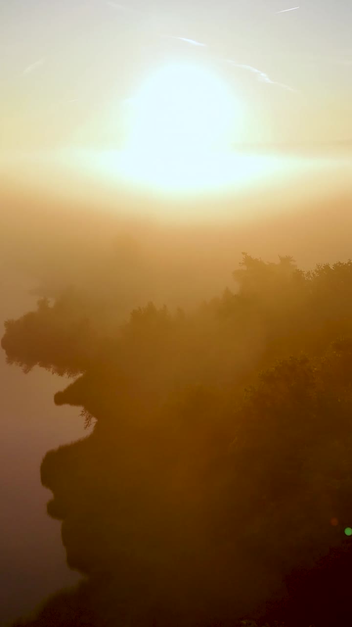 Misty Golden Sunrise Over a Lake and Forest