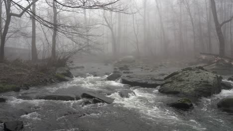 A-wide-view-of-a-flowing-river-in-the-forest-with-trees-overhanging-the-banks