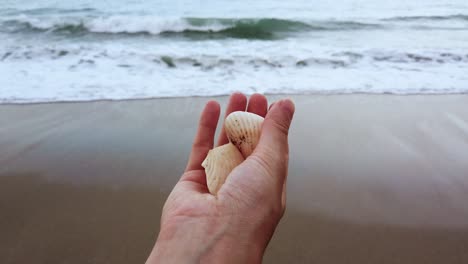 static close up shot of one women hand playing with sea shell with sand and sea in the back in palomino colombia