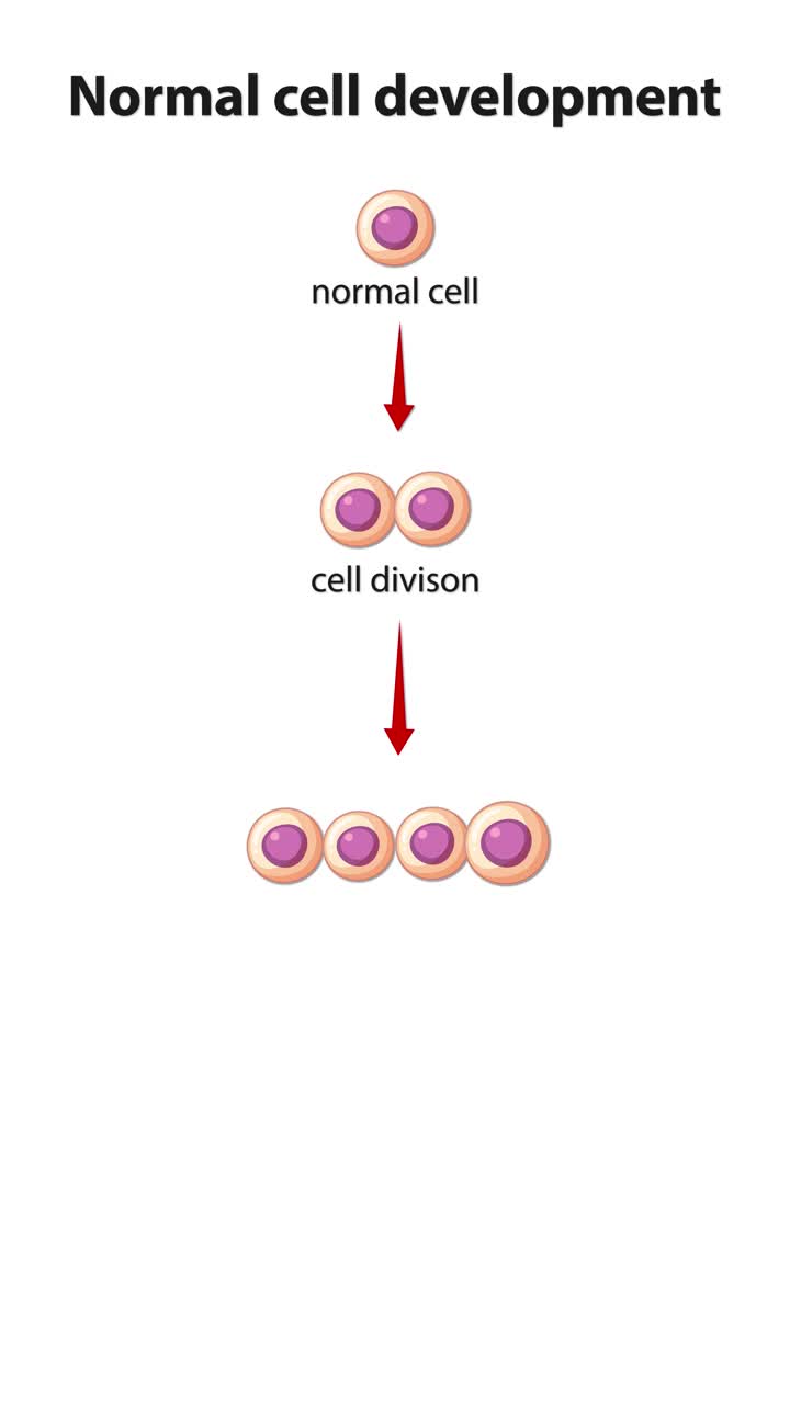 Normal Cell Development and Healthy Tissue Formation