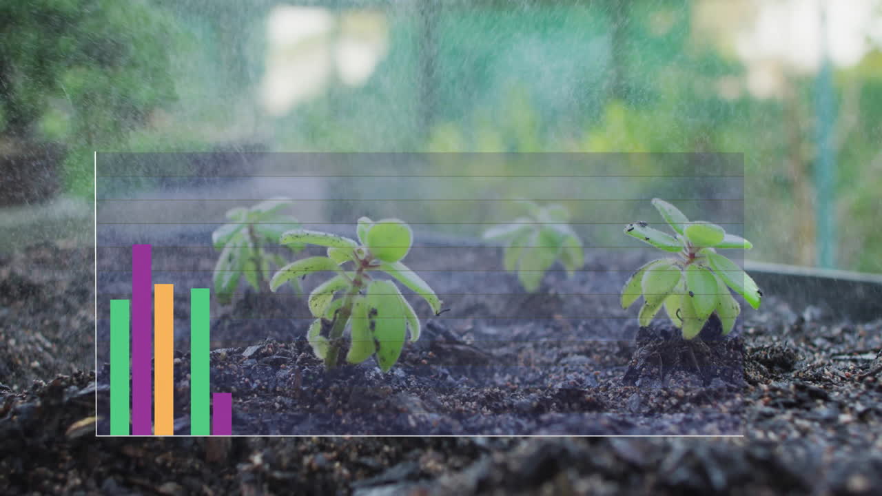 녹색 식물 위의 다채로운 다이어그램의 애니메이션