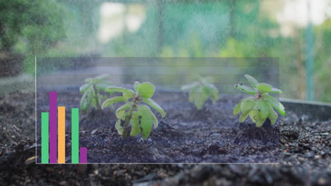 Animation of colourful diagrams over green plants