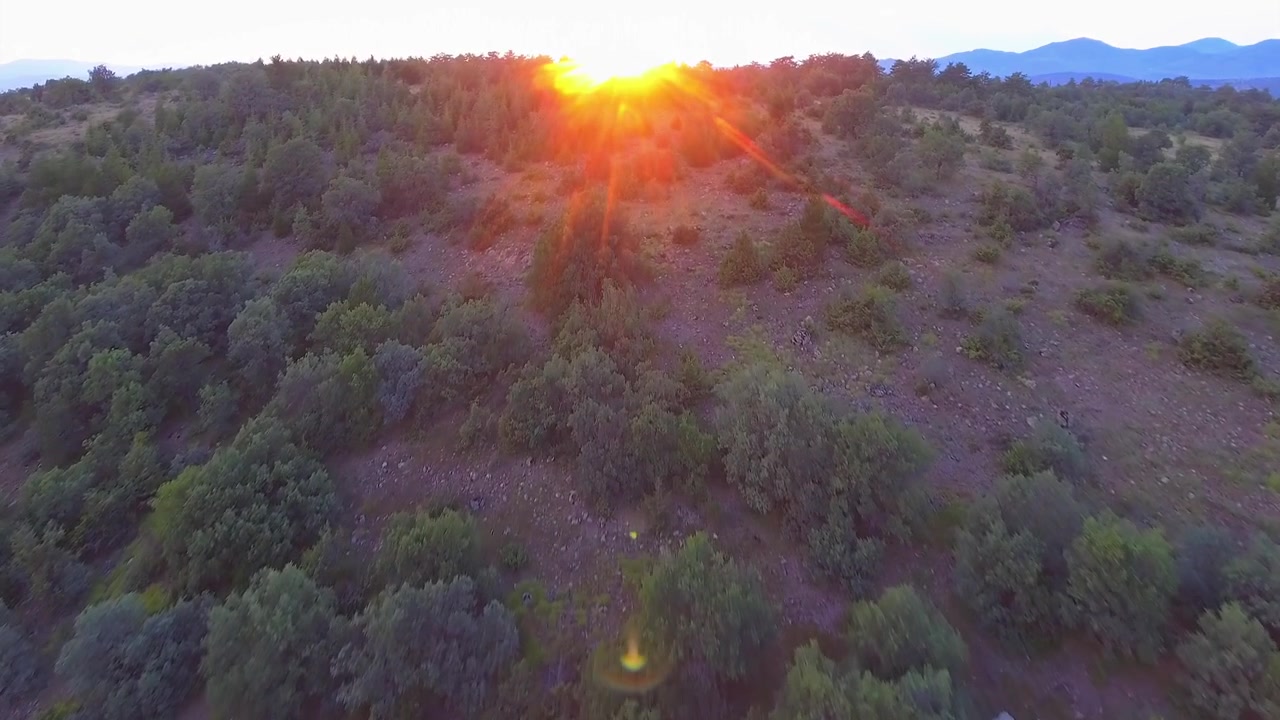 Luftfoto af skovklædt bakkeskråning ved solnedgang