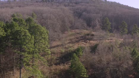 Droning-Indian-Seat-State-Park-in-Cumming-Georgia-during-winter