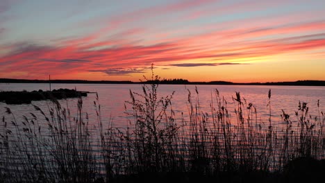 crimson sunset on the background of the gulf of bothnia