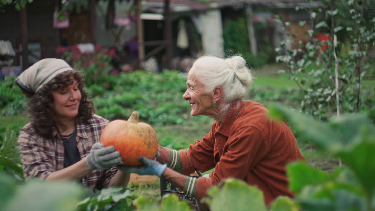 Elderly Woman and Granddaughter Harvesting Pumpkin Together in Garden