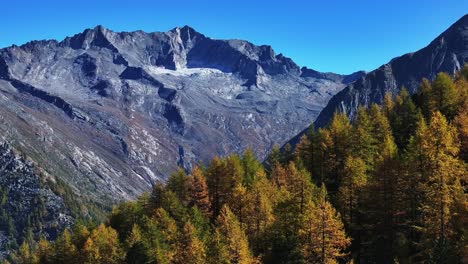 Saas-Fee-Saastal-aerial-drone-Switzerland-beautiful-sunny-blue-sky-autumn-fall-yellow-Larchs-forest-trees-Swiss-Alps-alpine-mountain-top-glacier-glacial-peak-gondola-tram-chairlift-landscape-up