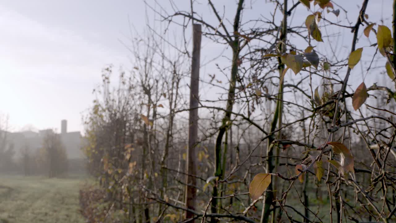 A wide shot reveals a misty English farm landscape with bare apple trees and distant fields, capturing the serene rural setting in autumn.