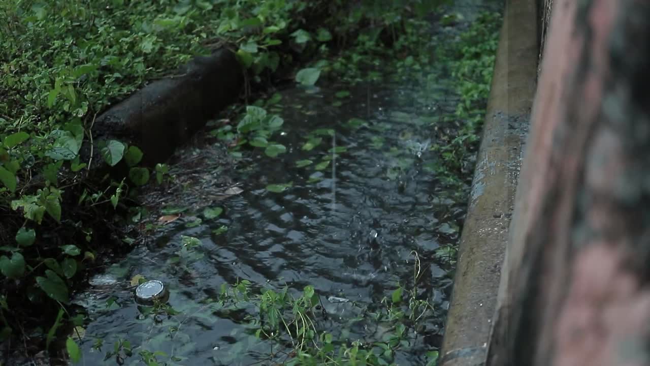Rain falling on house yard, nature in rainy environment, hd video. Slow motion