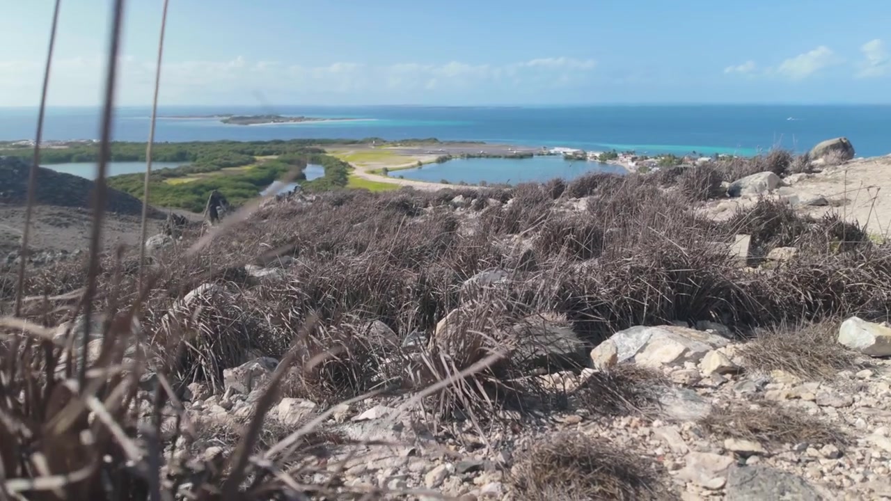 Ambiente tropicale naturale con orizzonte oceanico incontaminato, atmosfera da isola remota, brezza marina e sensazione di destinazione di viaggio cinematografica. Paesaggio costiero tropicale dell'Arcipelago di Los Roques, Venezuela