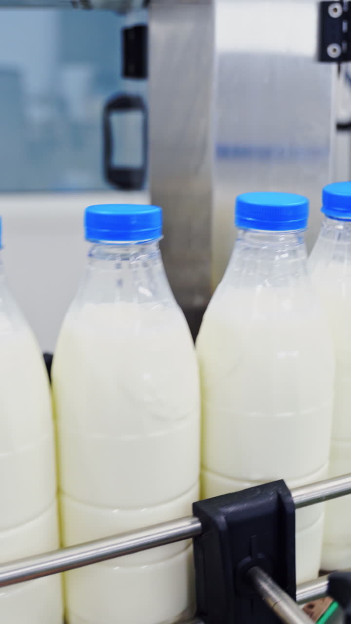 Plastic bottle on the conveyor. Plastic bottles transported on conveyor, automated production line Vertical video