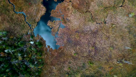 cloudy blue sky reflects in untouched forest pond and river streams in marsh lowlands of new hampshire