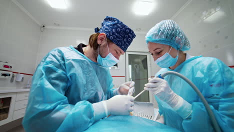 procedimiento dental